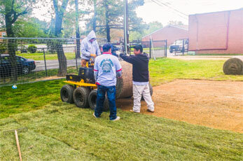 Natural turf sports field maintenance and installation